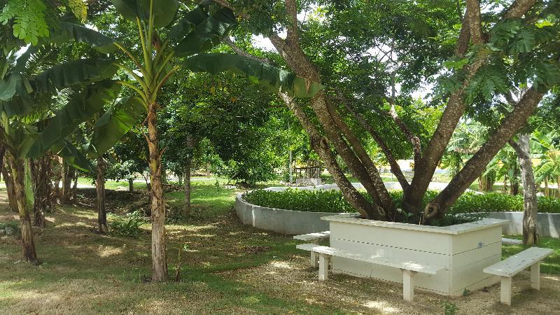 Oasis Resort Negril Exterior foto